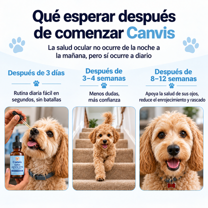 Canvis|Apoyo para su vision y bienestar