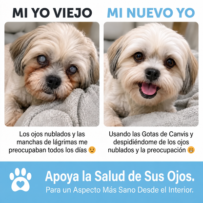 Canvis|Apoyo para su vision y bienestar