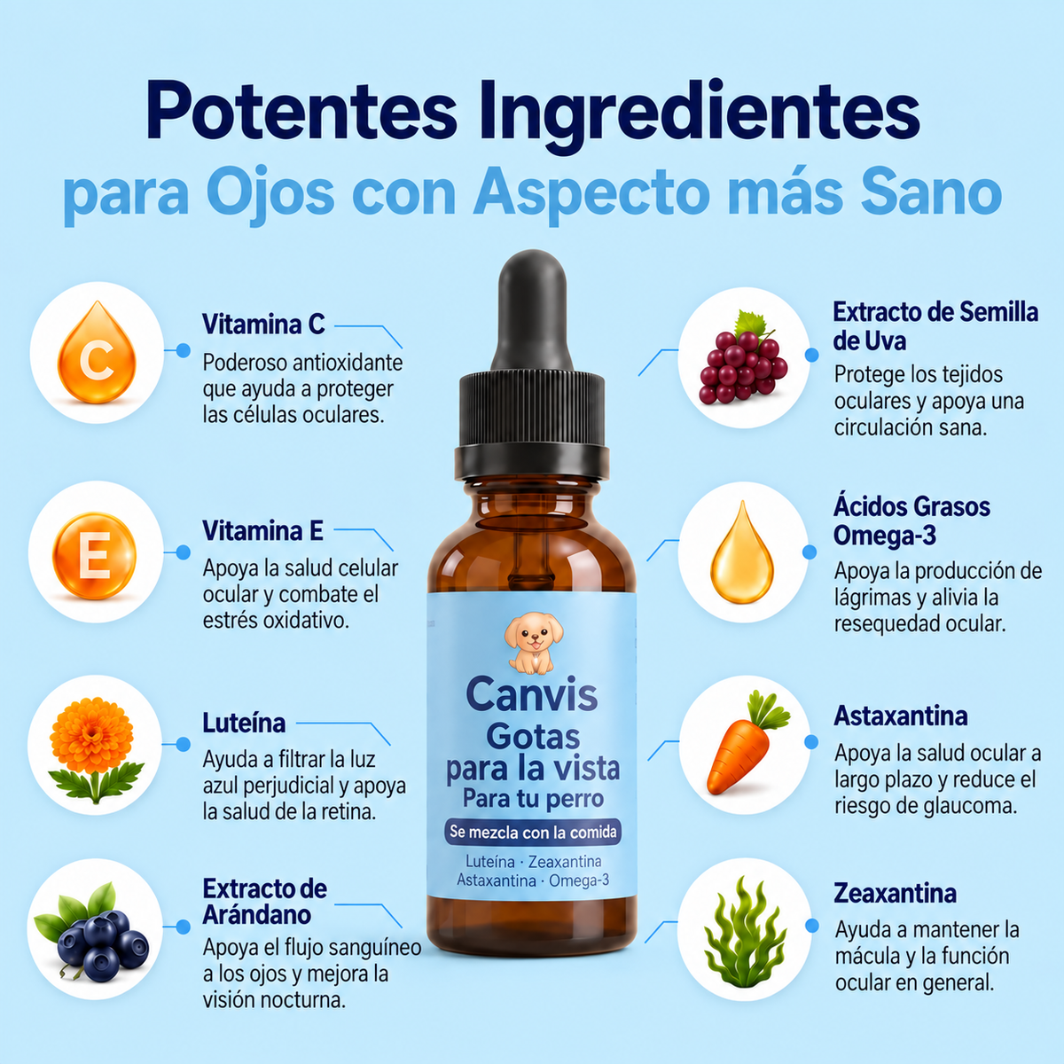 Canvis|Apoyo para su vision y bienestar