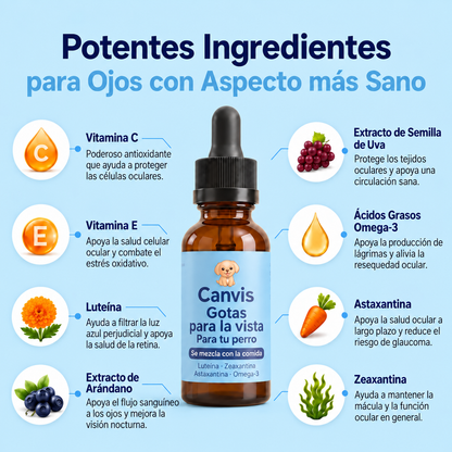 Canvis|Apoyo para su vision y bienestar