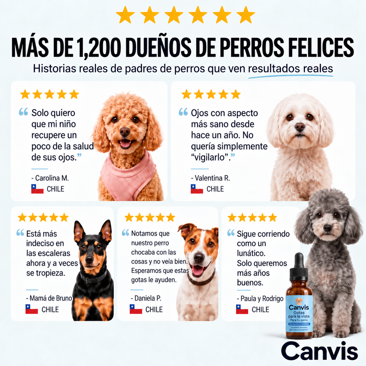 Canvis|Apoyo para su vision y bienestar