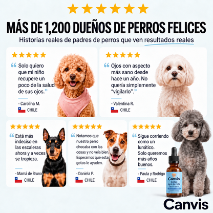 Canvis|Apoyo para su vision y bienestar
