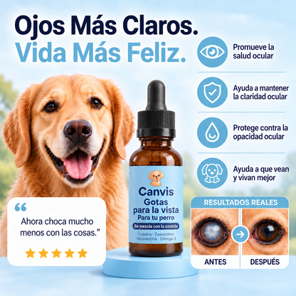 Canvis|Apoyo para su vision y bienestar